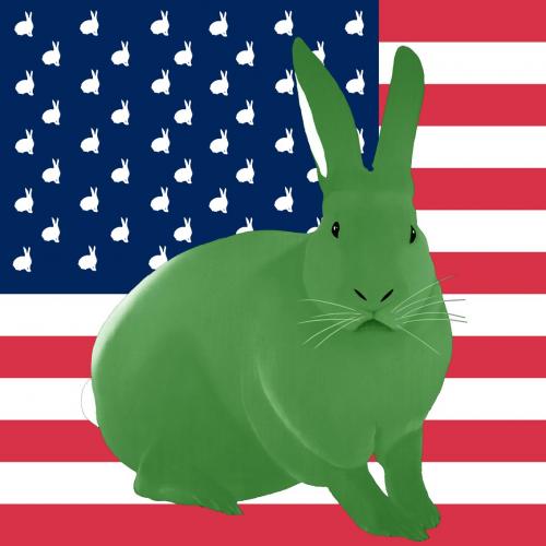 VERT AMANDE FLAG rabbit flag Showroom - Inkjet on plexi, limited editions, numbered and signed. Wildlife painting Art and decoration. Click to select an image, organise your own set, order from the painter on line
